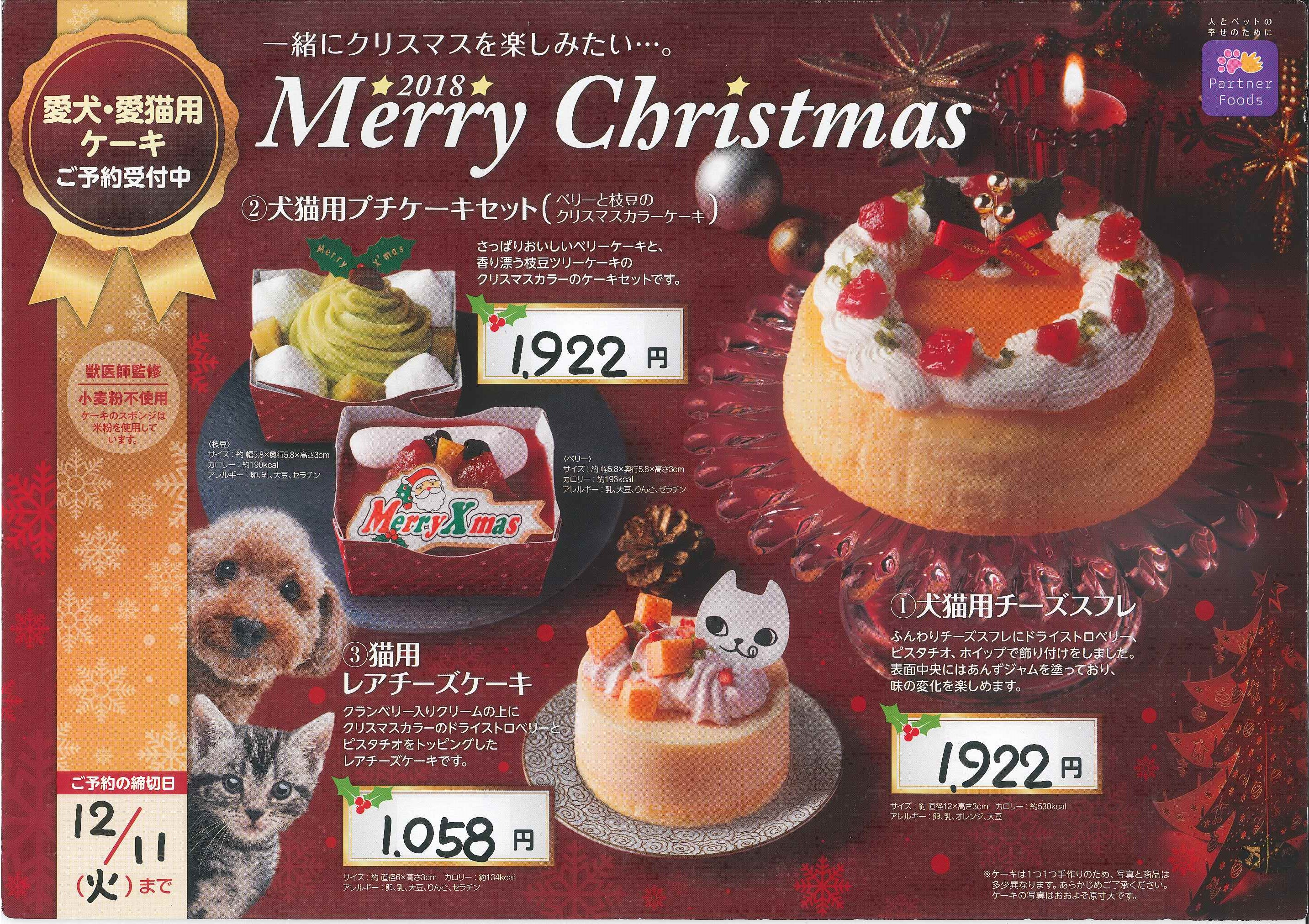 クリスマスケーキ 予約受付中 イベント 新着情報 ペット販売富山 ペットショップ マーチ