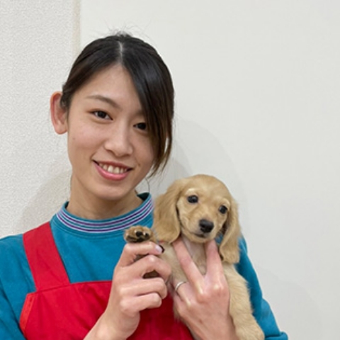 澤﨑