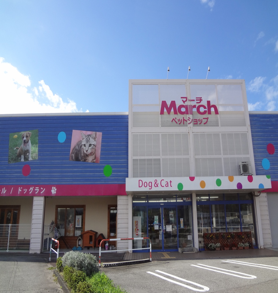採用情報