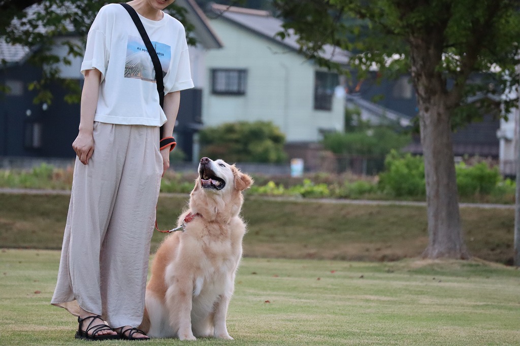コース紹介
