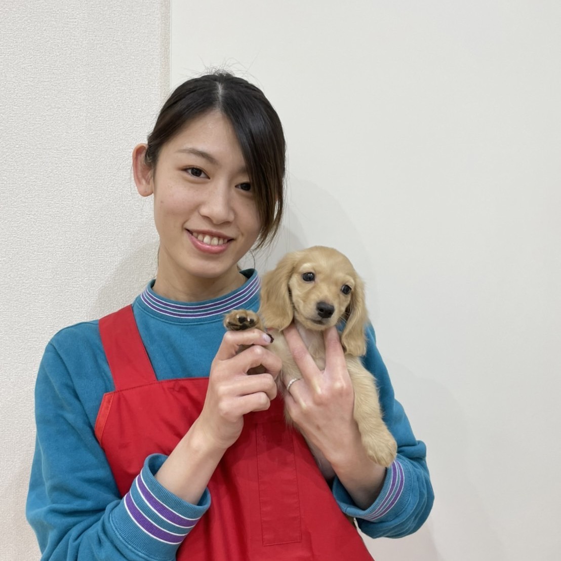 澤﨑